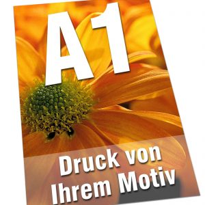 Plakate DIN  A1 135g Bilderdruck 4/0-farbig