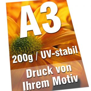 Plakate DIN A3 200g Bilderdruck 4/0-farbig UV-stabil Poster